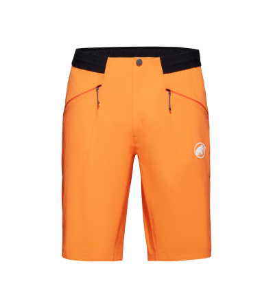 Шорти Mammut Aenergy Light So Shorts SS2024