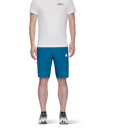Шорти Mammut Aenergy Light So Shorts SS2024