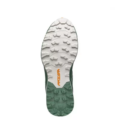 Обувки за планинско бягане Scarpa Ribelle Run GTX W's