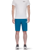 Шорти Mammut Aenergy Light So Shorts SS2024